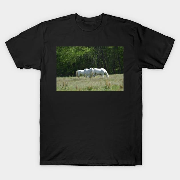 Wild Horse Herd T-Shirt by MarieDarcy